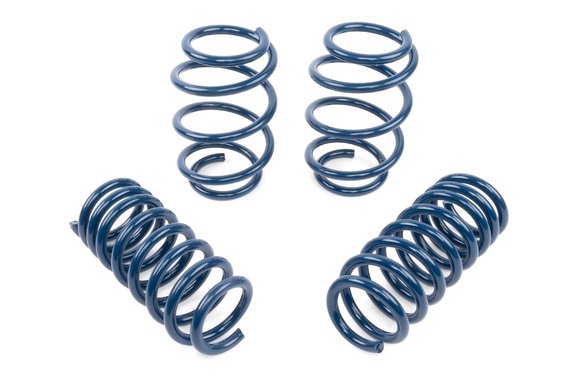 DINAN PERFORMANCE SPRING SET - 2018-2024 BMW X3 M40I / X4 M40I G01 / G02