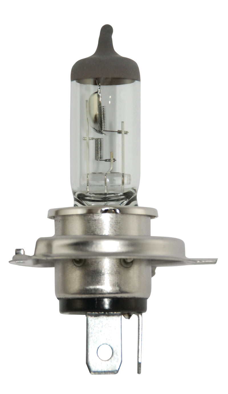 Hella H4 12V 130/90W Halogen Headlight Bulb - Universal – AM