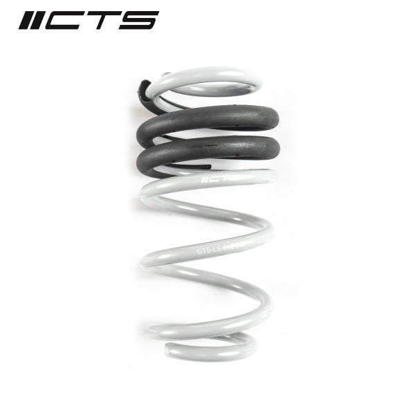 CTS TURBO B8/B8.5 AUDI A4/S4 LOWERING SPRING SET – AM Tuning Canada